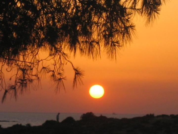 Teras Motel Foça Bagian luar foto